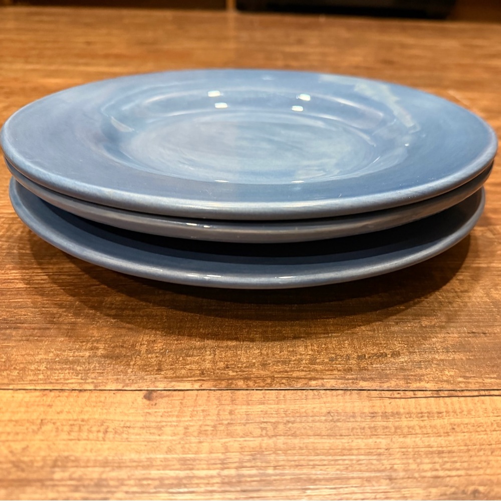 Three Pottery Barn Sausalito 12 inch Dinner Plates